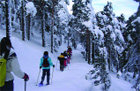 Excursión con raquetas de nieve