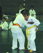 Campeonato de Judo mini-benjamín
