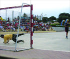 Deportes en Torre durante las fiestas del Carmen