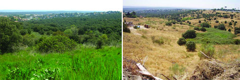 Según cómo se mire, el AHN puede ser un área de  alto valor medioambiental o una zona degradada.