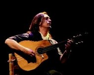 El Flamenco se consolida en Torrelodones