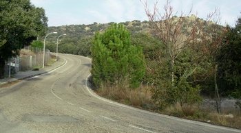 Una de las muchas curvas peligrosas y sin señalizar de la Avenida del Pardo