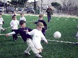 El Minifútbol prepara interesantes actividades para esta temporada