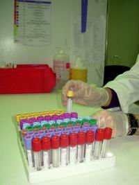 Nuestros servicios sanitarios,
a examen