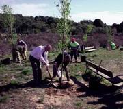 Plantación en Las Rozuelas por el Día Forestal
