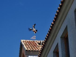 ¿Aquí huele a muerto?