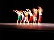 El pasado día X se celebró en la Casa de Cultura el IV Certamen Coreográfico de Torrelodones que contó con la participación de numerosos conjuntos repartidos en cinco categorías