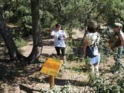 “Jara y lodón” cierra el ciclo de sendas ecológicas