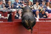 FotoCAM: distintas caras de la realidad que hacen historia