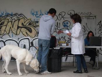 Las veterinarias se quejan de precariedad