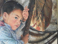 Exposiciones y conferencias estivales 