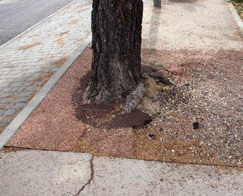 De nuevo levantada la Avenida de la Dehesa
