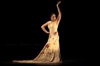 Flamenco: crónica de un éxito anunciado 