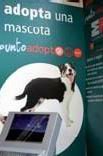 Adoptar por catálogo
