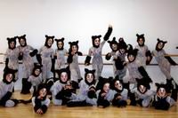 “Cats” benéficos