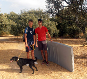 Torrelodones a cuatro patas