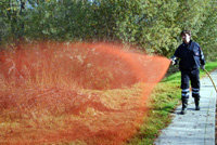 Nuevo sistema para la prevención de incendios