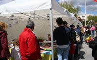 Nueva edición de la Feria del Libro en Torrelodones. 